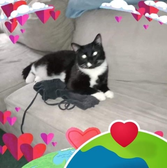 Meet your Posher, Janet - Picture 1 of 1